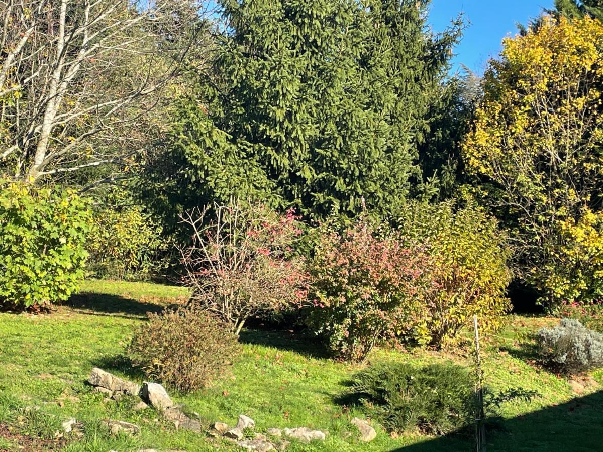 Borie Grande Villa Saint-Denis  Eksteriør bilde