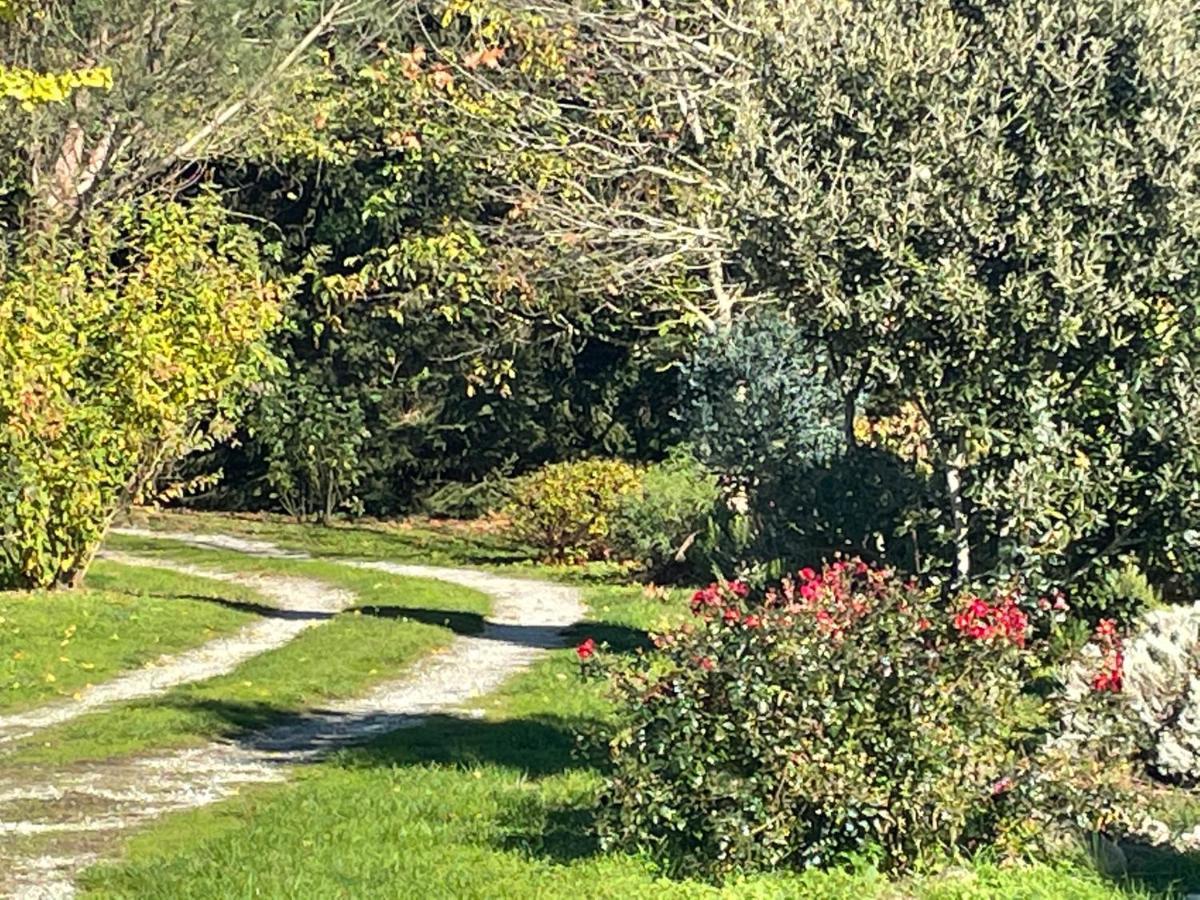 Borie Grande Villa Saint-Denis  Eksteriør bilde