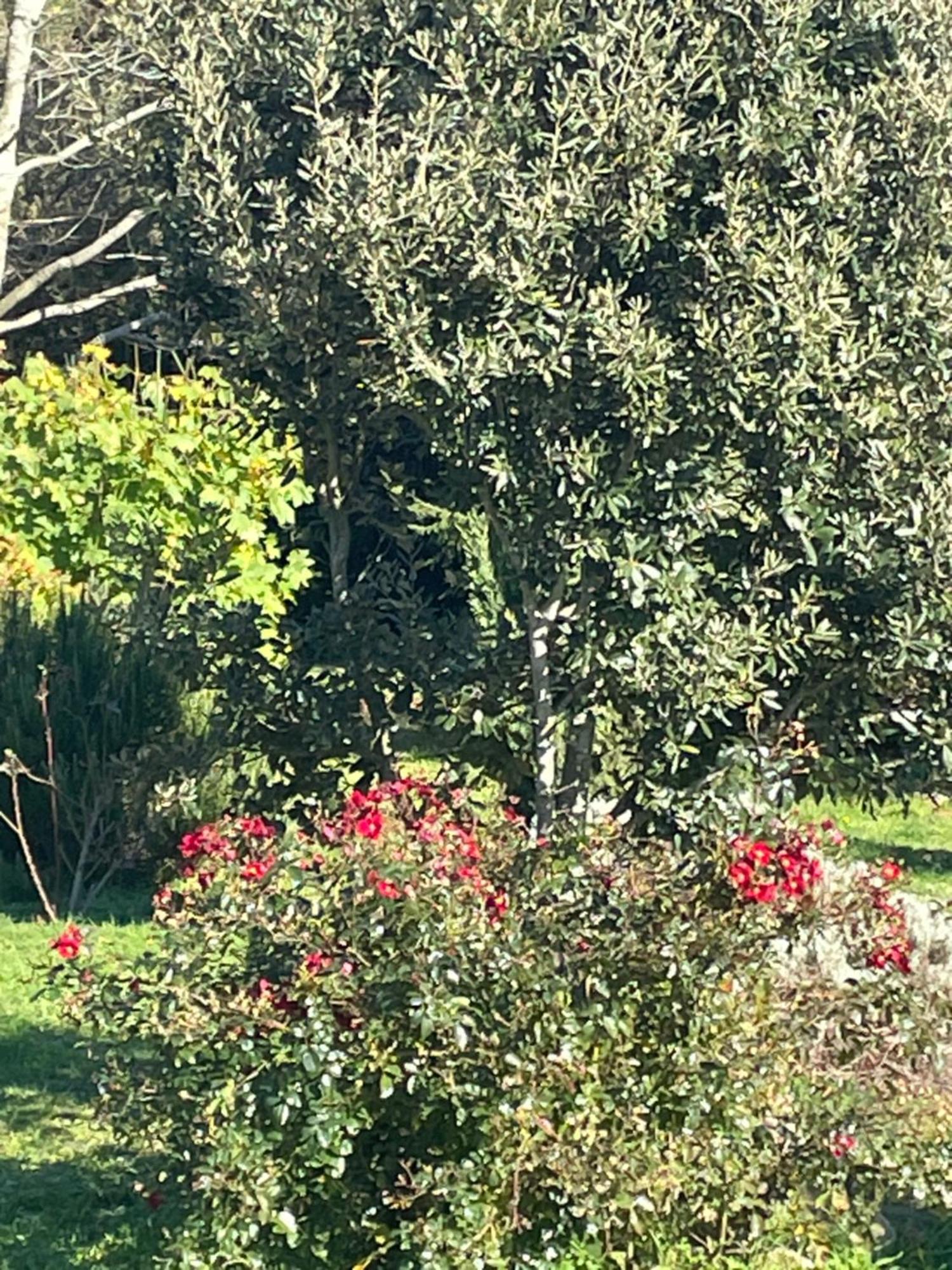 Borie Grande Villa Saint-Denis  Eksteriør bilde